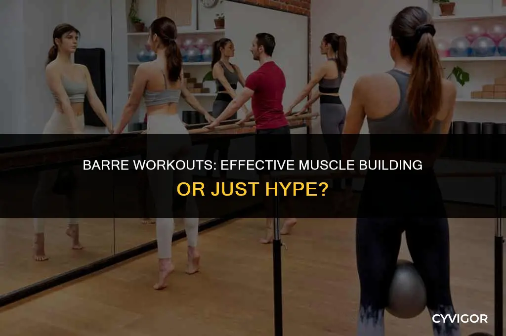 does barre build muscle