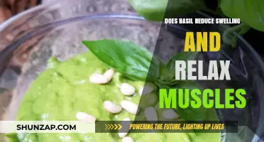 Basil's Anti-Inflammatory Benefits: Reducing Swelling and Relaxing Muscles Naturally