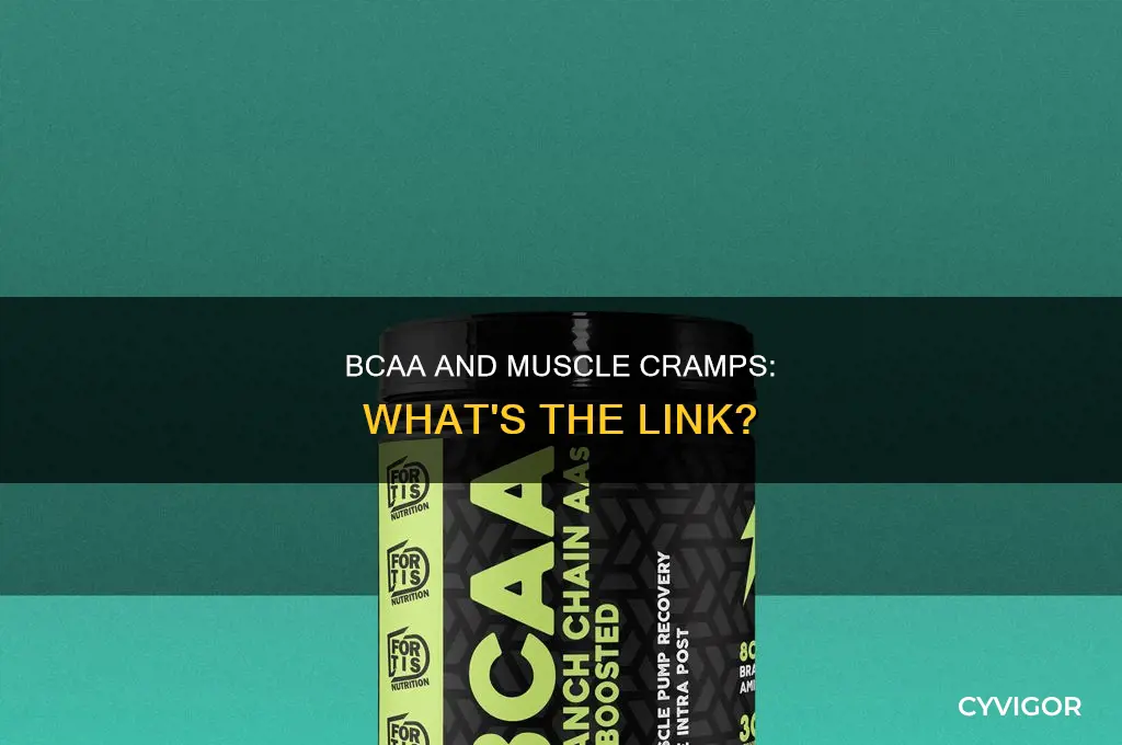does bcaa cause muscle cramps