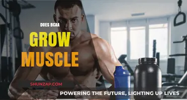 BCAA Muscle Growth: Fact or Fiction? Unlocking the Truth