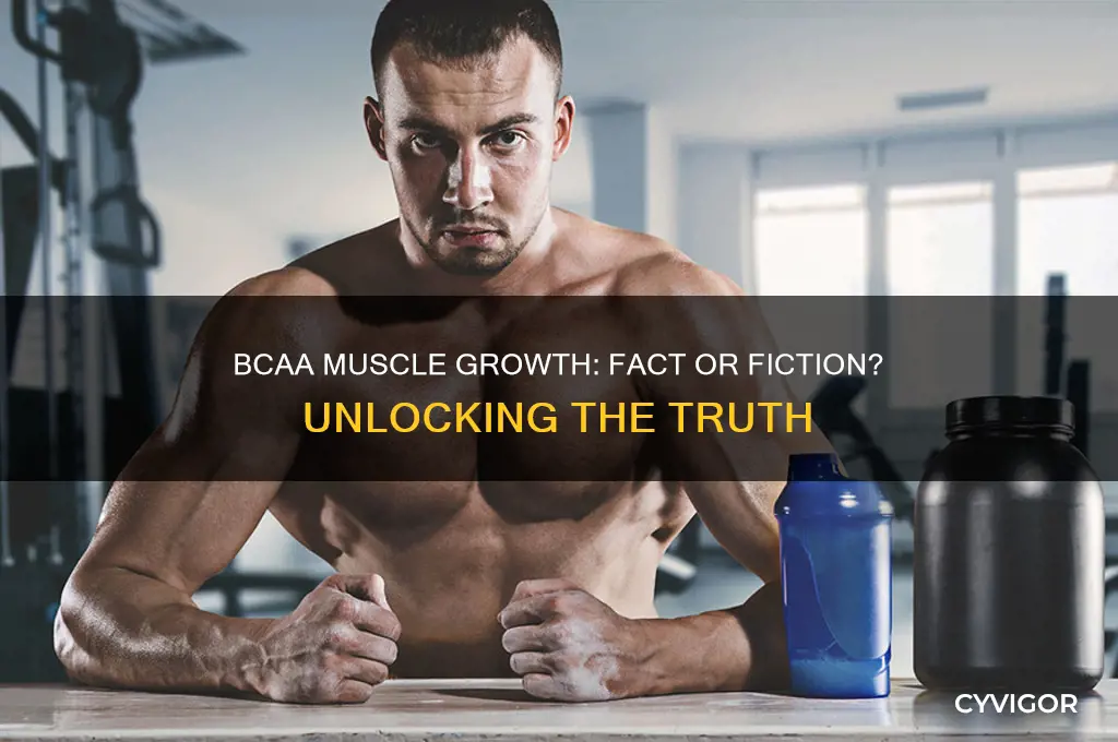does bcaa grow muscle