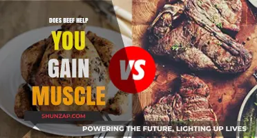 Beef and Muscle Gain: Unlocking Protein Power for Strength Training