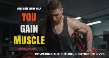 Can Beef Jerky Boost Muscle Gain? Unpacking Protein Snack Benefits