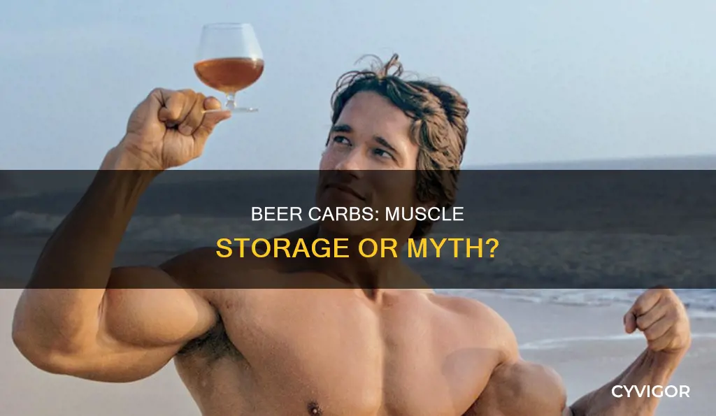 does beer carbs stored muscle