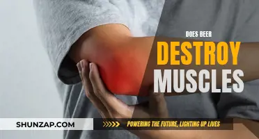 Beer and Muscle Growth: Friends or Foes?