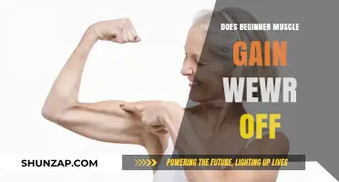 Does Beginner Muscle Gain Wear Off? Understanding Newbie Gains and Longevity