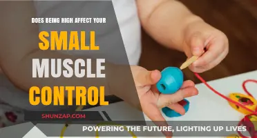 Exploring the Impact of Being High on Fine Motor Skills