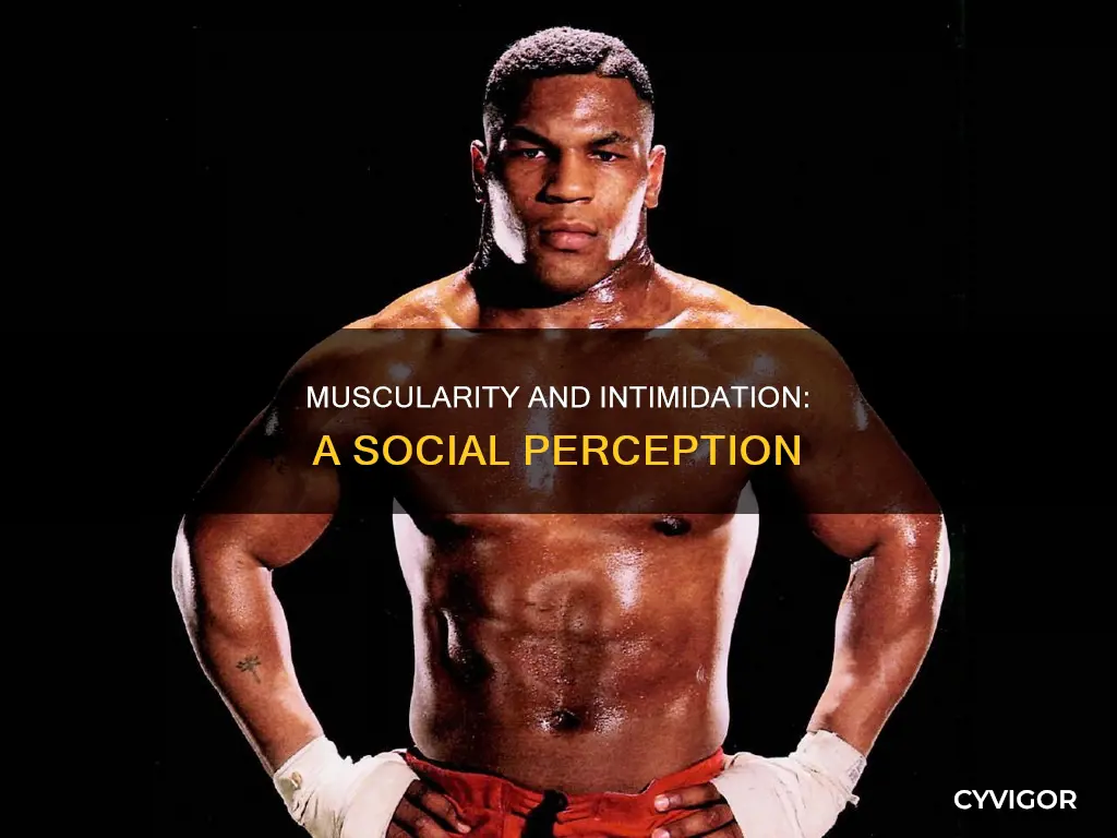 does being musclar intimdate people