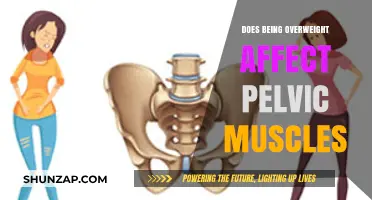 The Impact of Overweight on Pelvic Muscles: What You Need to Know