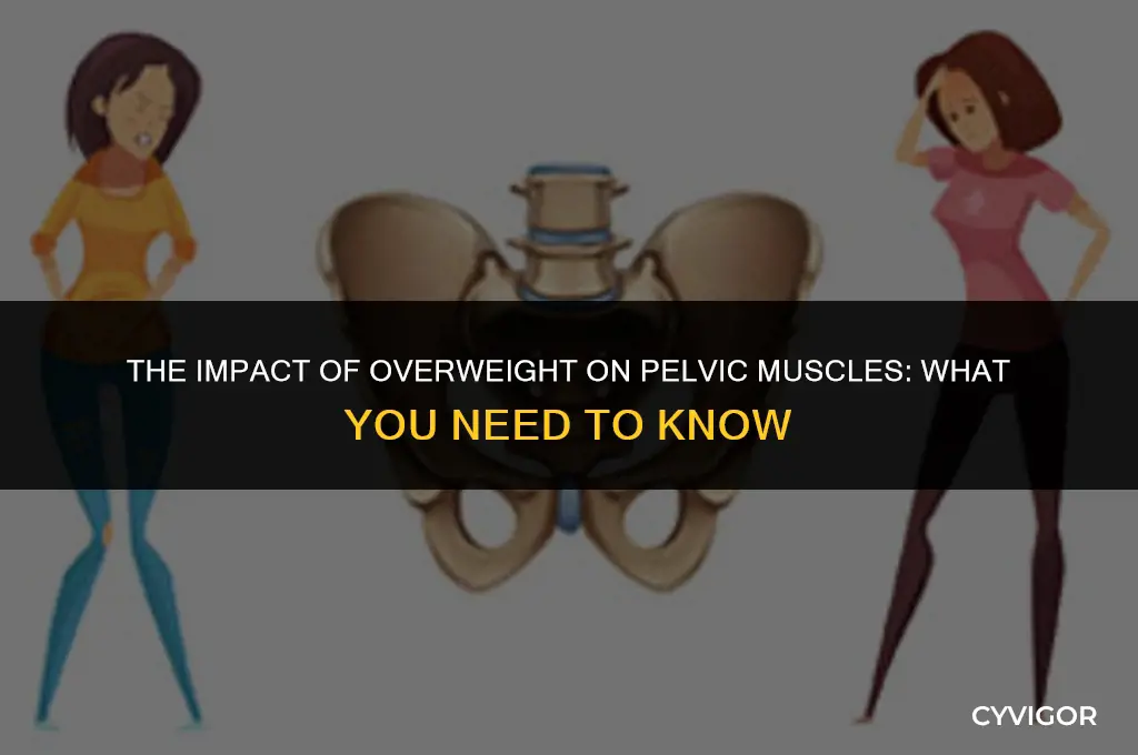 does being overweight affect pelvic muscles