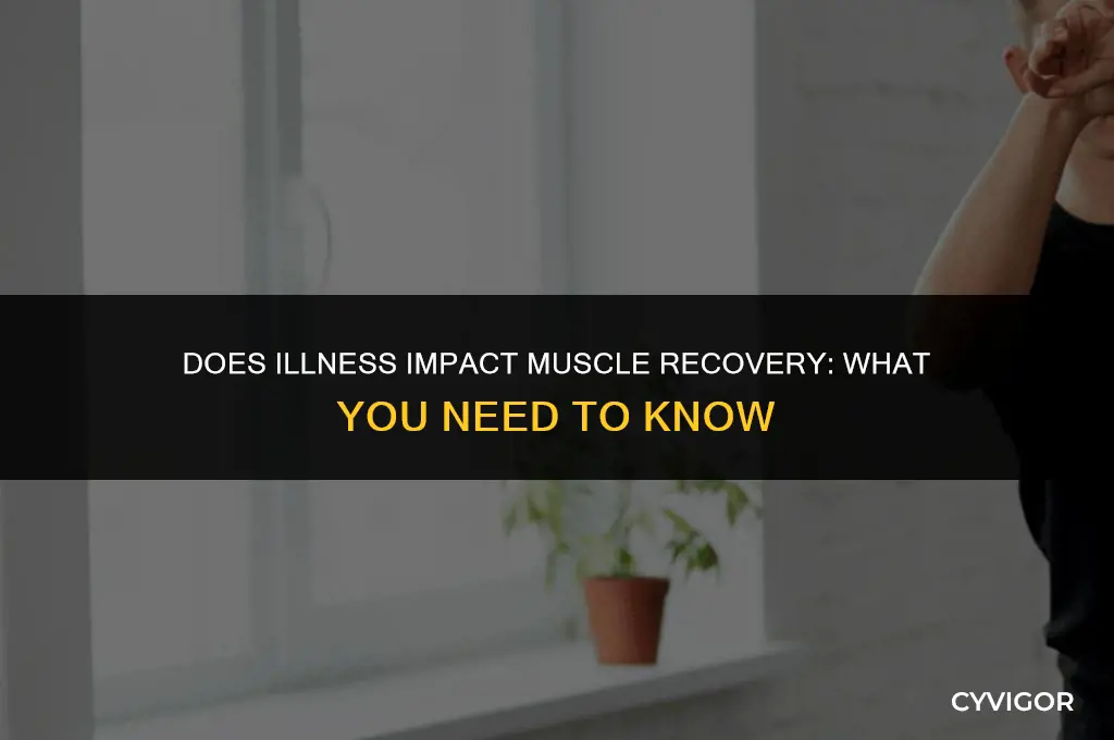 does being sick affect muscle recovery