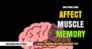 Fatigue's Impact on Muscle Memory: What You Need to Know