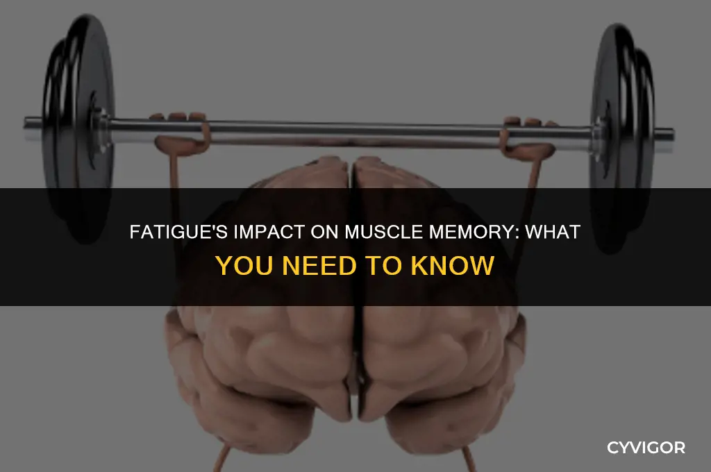 does being tired affect muscle memory