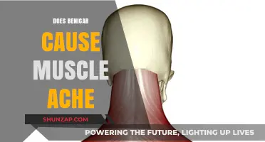 Benicar Side Effects: Muscle Aches and Pains Explained