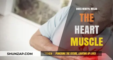 Does Bentyl Relax the Heart Muscle? Exploring Its Effects and Safety