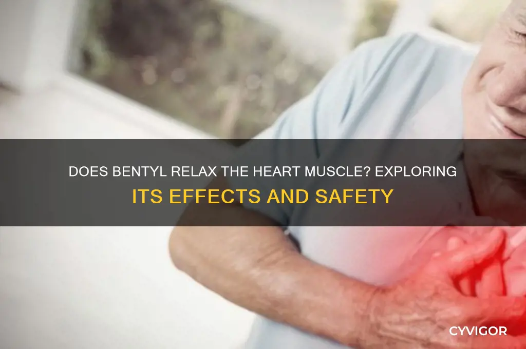 does bentyl relax the heart muscle