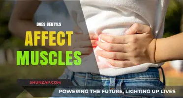 Exploring the Impact of Bentyl on Muscle Function and Health