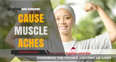 Berberine's Muscle Aches: What You Need to Know