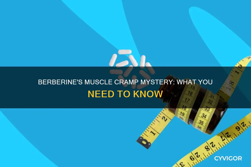 does berberine cause muscle cramps