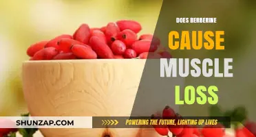 Berberine's Impact: Does It Cause Muscle Loss?