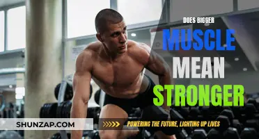 Muscle Size vs Strength: Is Bigger Better?
