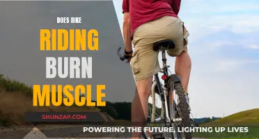Does Cycling Burn Muscle? Understanding the Science Behind It