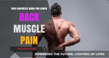 Does Biofreeze Effectively Relieve Lower Back Muscle Pain? Find Out