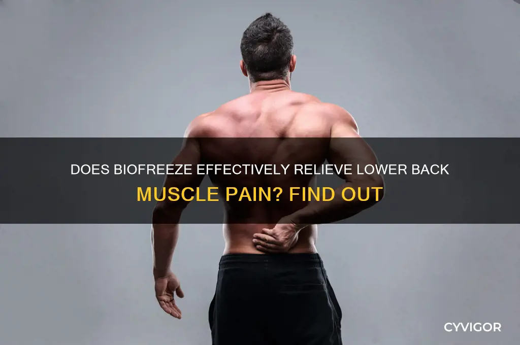 does biofreeze work for lower back muscle pain