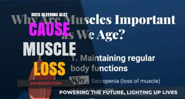 Heavy Bleeding: Impact on Muscle Loss and Recovery