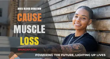 Blood Donation and Muscle Loss: Is There a Link?