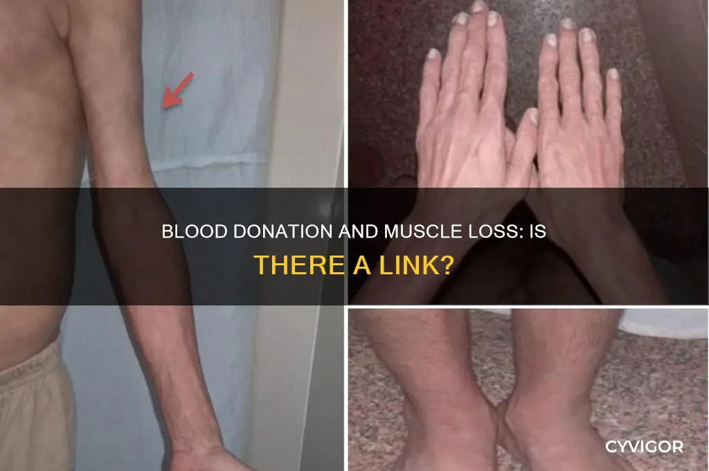 does blood donation cause muscle loss