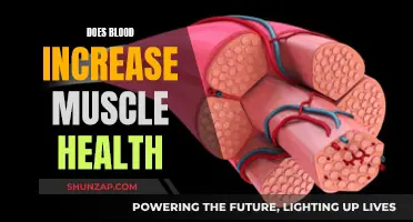 Blood and Muscle Health: What's the Connection?