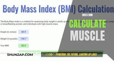 BMI: An Inaccurate Measure of Body Fat and Muscle Mass
