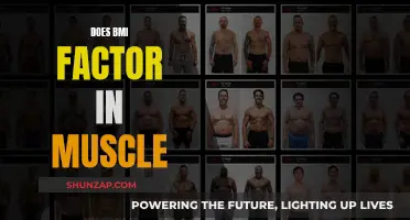 BMI: Muscle Mass Misconception and Health Risks