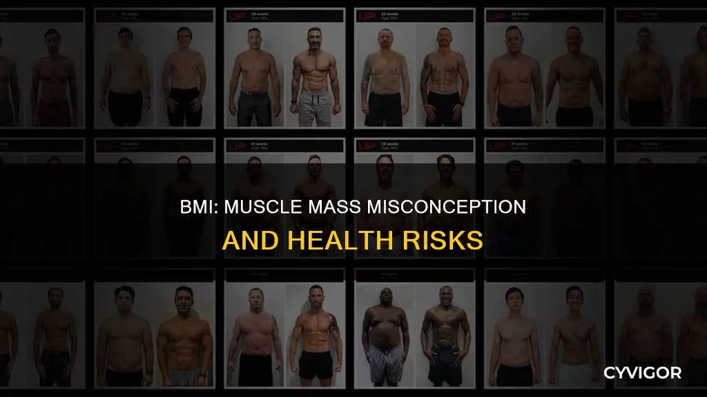 does bmi factor in muscle