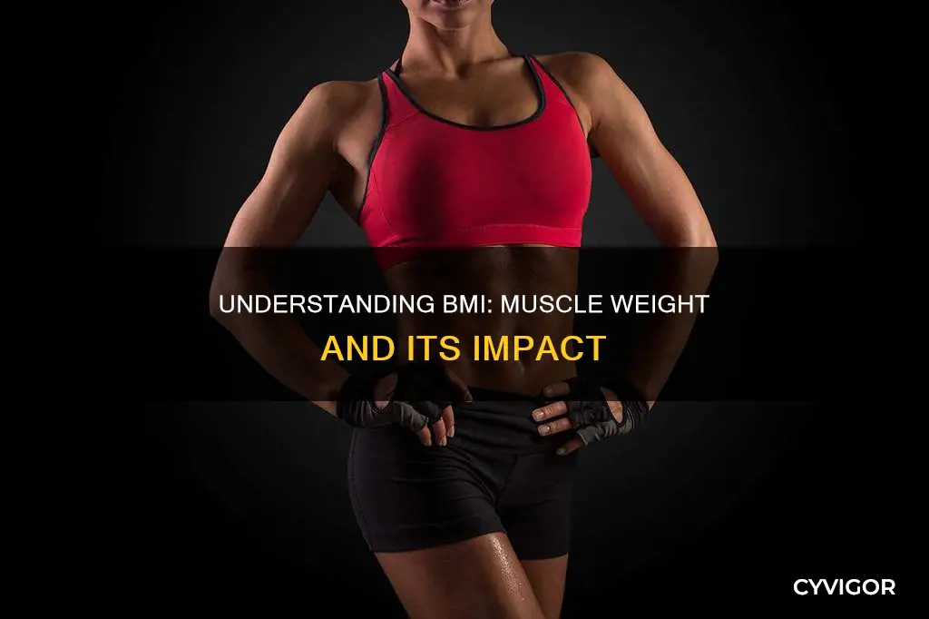 does bmi include muscle weight