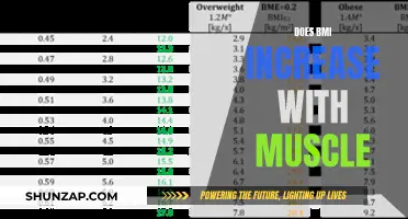 Muscle Mass and BMI: What's the Real Relationship?