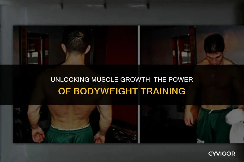 does body weight training build muscle
