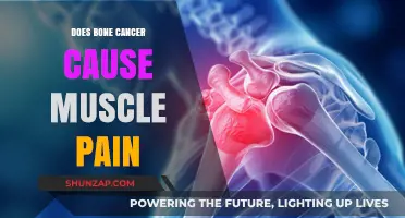 Bone Cancer and Muscle Pain: What's the Link?