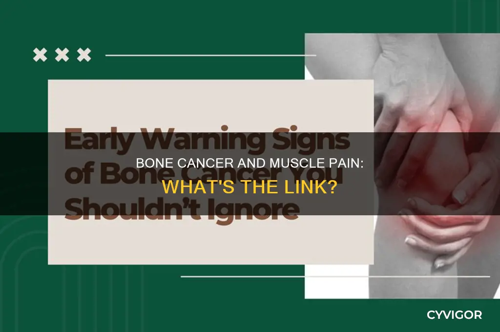 does bone cancer cause muscle pain