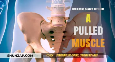 Bone Cancer vs. Pulled Muscle: Recognizing the Difference in Pain