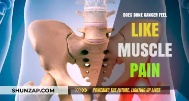 Bone Cancer vs. Muscle Pain: Understanding the Difference in Symptoms