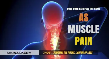 Bone vs. Muscle Pain: Understanding the Distinct Sensations and Differences