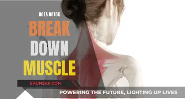 Botox's Muscle-Relaxing Effects: What You Need to Know