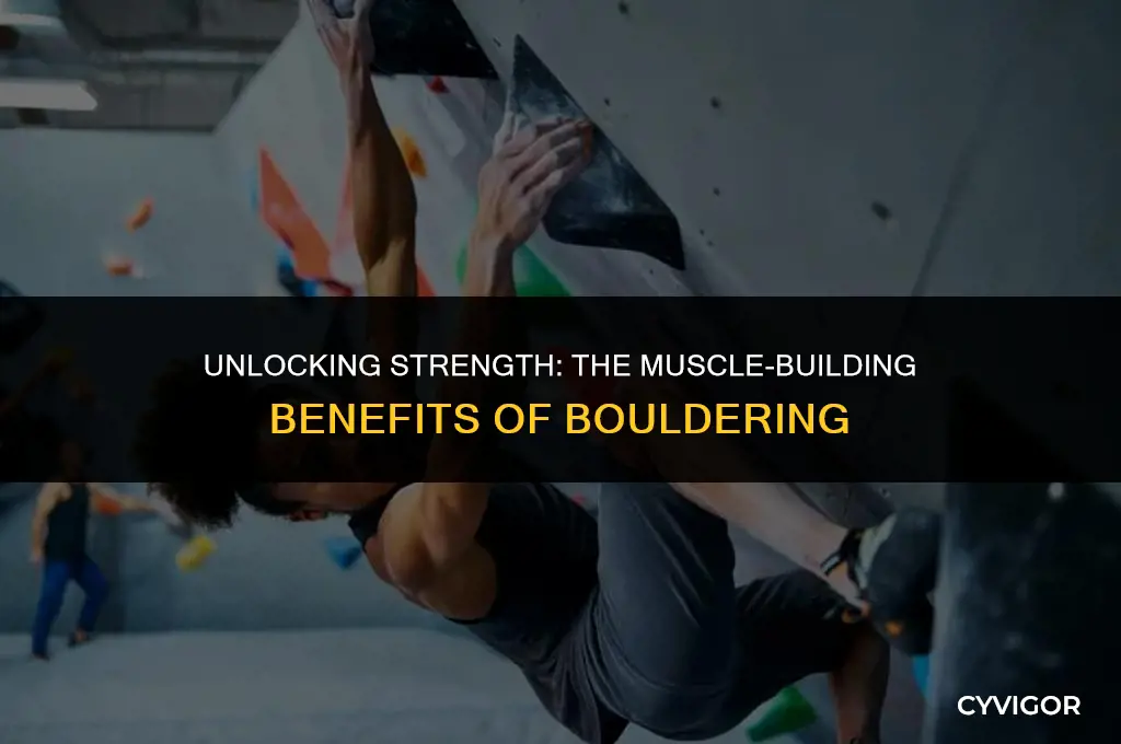 does bouldering build muscle