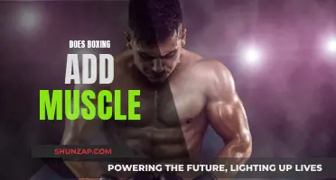 Boxing and Muscle Gain: What's the Real Deal?
