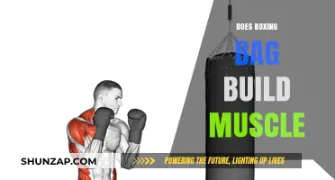 Punching Power: Can a Boxing Bag Really Build Muscle?