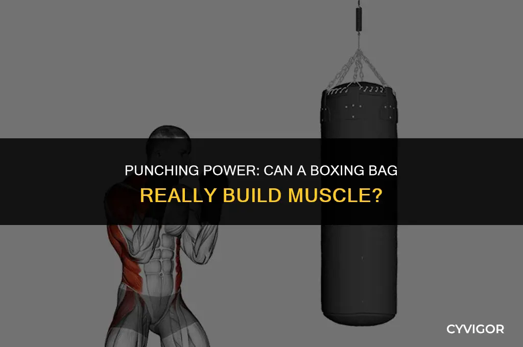 does boxing bag build muscle
