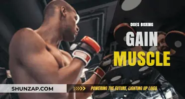 Does Boxing Build Muscle? Unveiling the Truth Behind the Ring