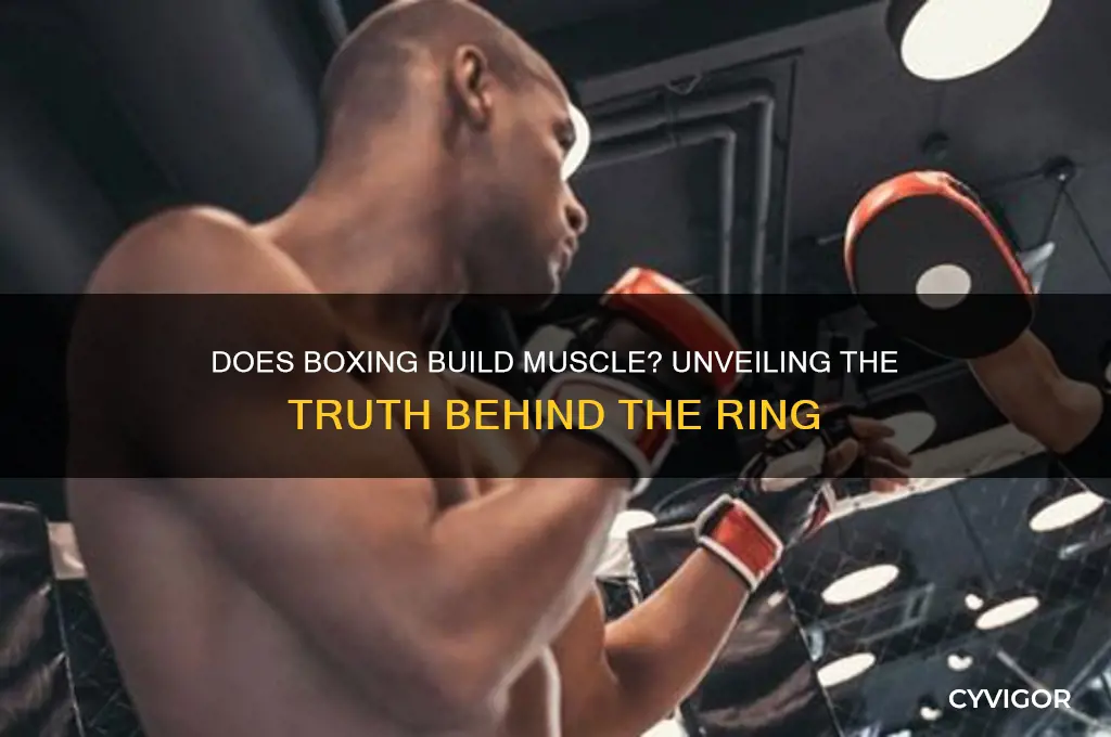 does boxing gain muscle